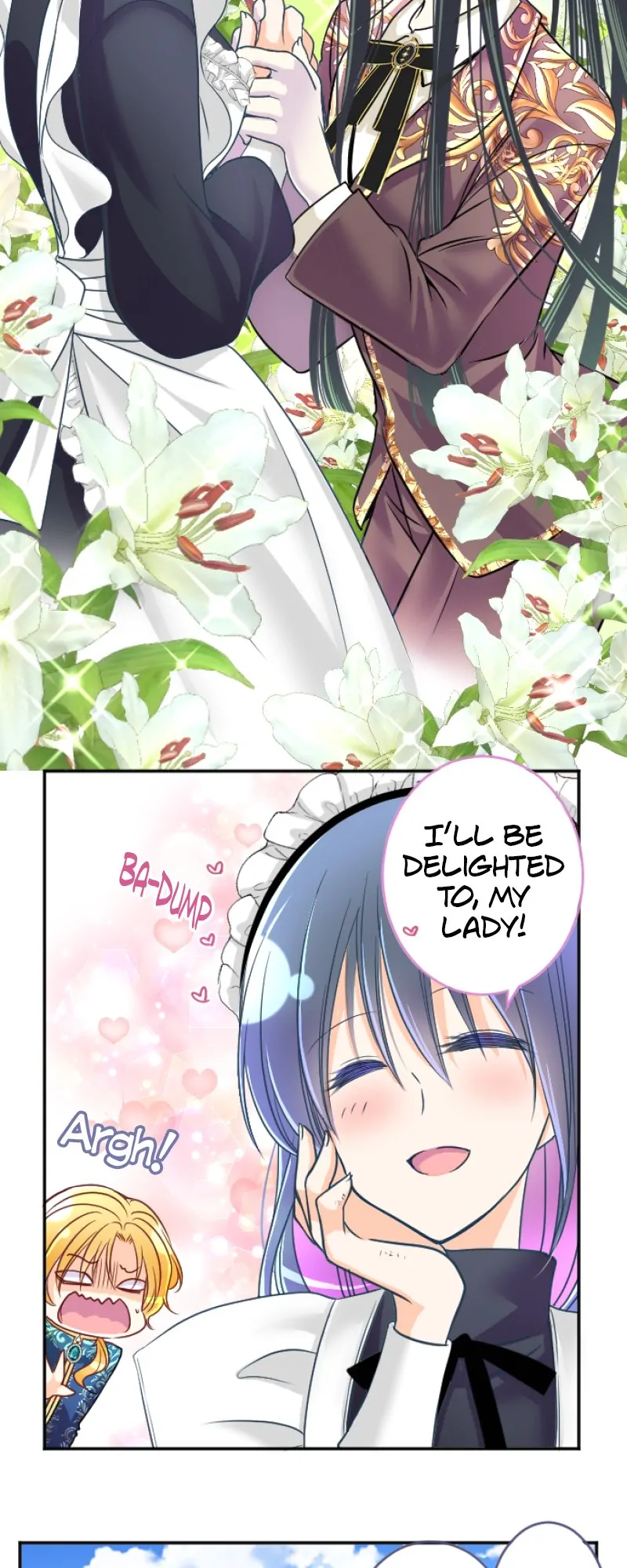 47428484 800 2000 148658